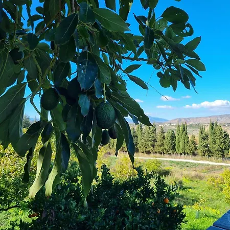 Vista El Montanes
